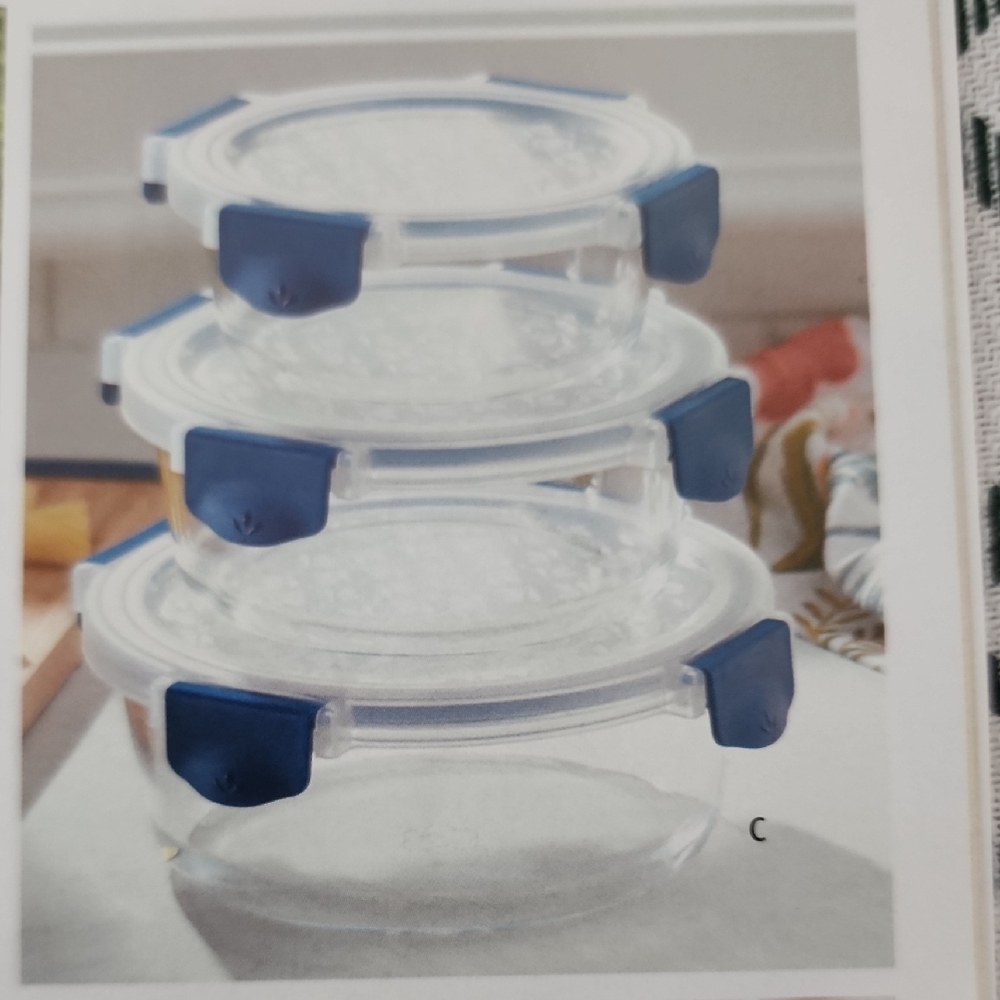 Princess House Blue and White Food Storage Containers